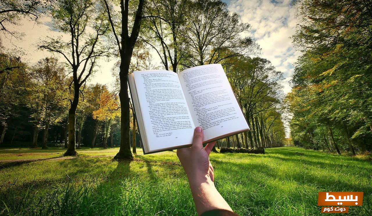 اكتشف عوالم جديدة مع تحميل رواية "حمل بالتراضي" pdf تجربة قراءة لا تُنسى! 6 oXK1oJUneM 1